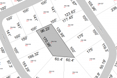 Forest Lane Property (GIS parcel map)