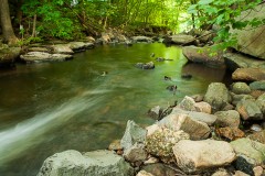 MacCormack Drive Property (view of the Mad River)