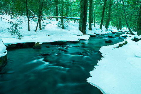 Donating land is one of the most powerful and lasting ways to ensure that open space has a prominent role in the future of Wolcott.(Photograph © J. G. Coleman)